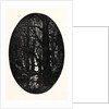 How Many Centuries of Change and Chance Those Gnarled Gray Trunks Have Sentineled, Calm and Still by Anonymous