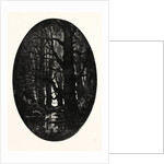 How Many Centuries of Change and Chance Those Gnarled Gray Trunks Have Sentineled, Calm and Still by Anonymous