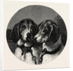 The Stag-Hounds by Anonymous