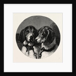 The Stag-Hounds by Anonymous