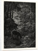 The Stag at Eve Had Drunk His Fill. by Anonymous