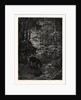 The Stag at Eve Had Drunk His Fill. by Anonymous
