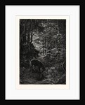 The Stag at Eve Had Drunk His Fill. by Anonymous