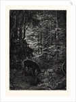 The Stag at Eve Had Drunk His Fill. by Anonymous