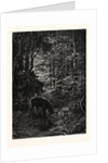 The Stag at Eve Had Drunk His Fill. by Anonymous