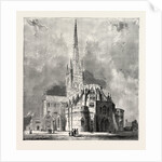 Norwich Cathedral by Anonymous