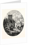 Maximilian's Tower, Suabia by Anonymous