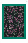 French Fabrics; First Half of the Nineteenth Century by Anonymous