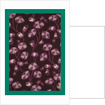 French Fabrics; First Half of the Nineteenth Century by Anonymous