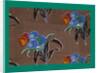 French Fabrics; First Half of the Nineteenth Century by Anonymous
