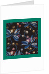 French Fabrics; First Half of the Nineteenth Century by Anonymous