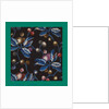 French Fabrics; First Half of the Nineteenth Century by Anonymous