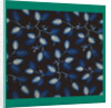 French Fabrics; First Half of the Nineteenth Century by Anonymous