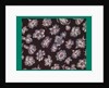French Fabrics; First Half of the Nineteenth Century by Anonymous