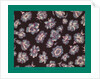 French Fabrics; First Half of the Nineteenth Century by Anonymous