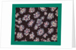 French Fabrics; First Half of the Nineteenth Century by Anonymous