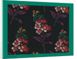 French Fabrics; First Half of the Nineteenth Century by Anonymous