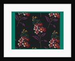French Fabrics; First Half of the Nineteenth Century by Anonymous