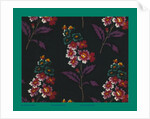 French Fabrics; First Half of the Nineteenth Century by Anonymous