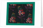 French Fabrics; First Half of the Nineteenth Century by Anonymous