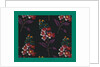 French Fabrics; First Half of the Nineteenth Century by Anonymous
