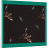 French Fabrics; First Half of the Nineteenth Century by Anonymous
