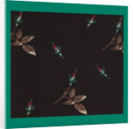 French Fabrics; First Half of the Nineteenth Century by Anonymous