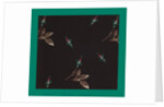 French Fabrics; First Half of the Nineteenth Century by Anonymous