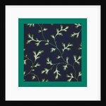 French Fabrics; First Half of the Nineteenth Century by Anonymous