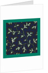 French Fabrics; First Half of the Nineteenth Century by Anonymous