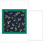 French Fabrics; First Half of the Nineteenth Century by Anonymous
