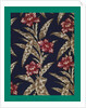 French Fabrics; First Half of the Nineteenth Century by Anonymous