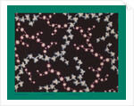 French Fabrics; First Half of the Nineteenth Century by Anonymous