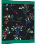 French Fabrics; First Half of the Nineteenth Century by Anonymous