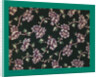 French Fabrics; First Half of the Nineteenth Century by Anonymous