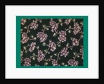 French Fabrics; First Half of the Nineteenth Century by Anonymous