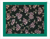 French Fabrics; First Half of the Nineteenth Century by Anonymous