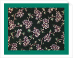 French Fabrics; First Half of the Nineteenth Century by Anonymous