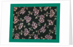 French Fabrics; First Half of the Nineteenth Century by Anonymous