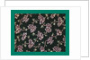 French Fabrics; First Half of the Nineteenth Century by Anonymous
