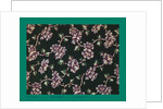 French Fabrics; First Half of the Nineteenth Century by Anonymous