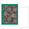 French Fabrics; First Half of the Nineteenth Century by Anonymous