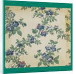 French Fabrics; First Half of the Nineteenth Century by Anonymous