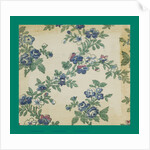 French Fabrics; First Half of the Nineteenth Century by Anonymous