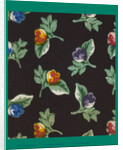 French Fabrics; First Half of the Nineteenth Century by Anonymous