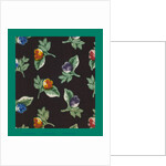 French Fabrics; First Half of the Nineteenth Century by Anonymous