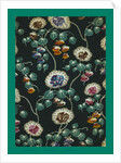 French Fabrics; First Half of the Nineteenth Century by Anonymous