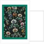 French Fabrics; First Half of the Nineteenth Century by Anonymous