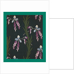 French Fabrics; First Half of the Nineteenth Century by Anonymous