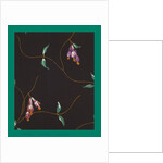 French Fabrics; First Half of the Nineteenth Century by Anonymous